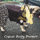 Ceasar Beefy Bromer  2003-2015